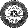 Capra-X