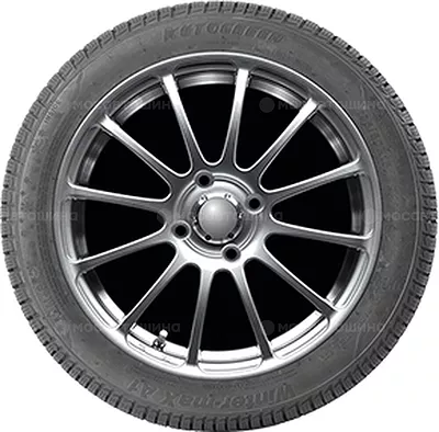 Autogreen Winter-Max A1-WL5 195/55 R16 87H