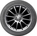 Autogreen Winter-Max A1-WL5 195/55 R16 87H