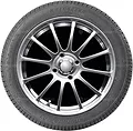 Autogreen Winter-Max U1-WL2 185/70 R14 88T