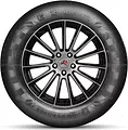 Doublestar DS01 245/75 R16 111S