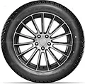 Doublestar DW01 195/60 R15 88T