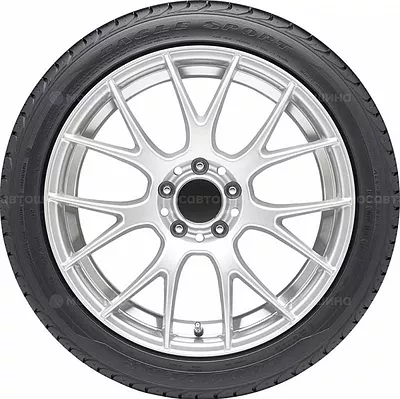 Eagle Sport TZ