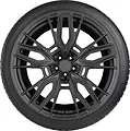 SureGrip Pro Winter