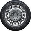 Habilead RS01 195 R14C 106/104T