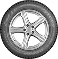 Nordman 8