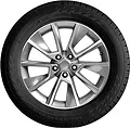 Nordman RS2