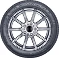 Wintercraft WS71