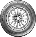 Competus H/P 2