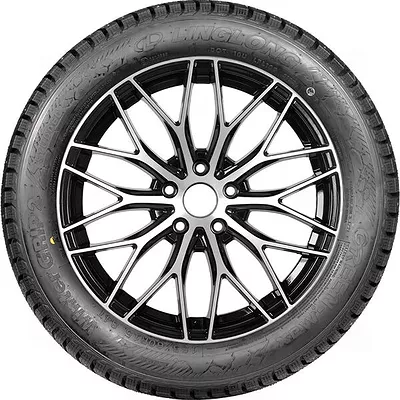 GreenMax Winter Grip 2