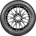 GreenMax Winter Grip 2
