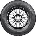 GreenMax Winter Grip Van 2