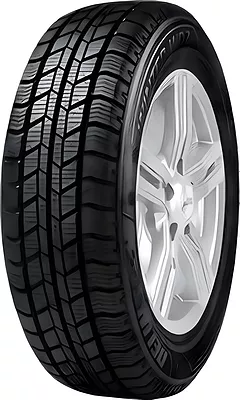 Delinte WD2 235/65 R16C 115/113S