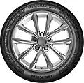 Nexen Winguard Ice 3 185/65 R15 92T XL