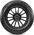 Scorpion All Terrain Plus