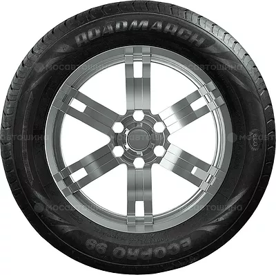 EcoPro 99