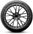 Rydanz Roadster R02 205/45 ZR16 87W XL