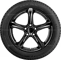 SUV Ice