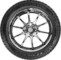 X-Privilo S500