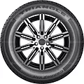 Triangle TV701 Connex Van 195 R14C 106/104R