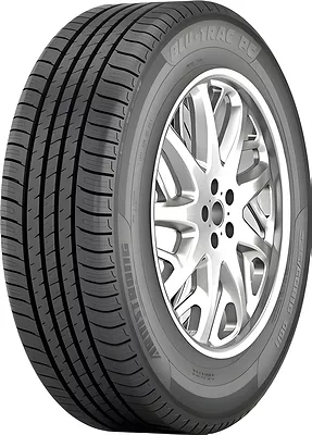 Armstrong Blu-Trac PC 205/55 R16 91H
